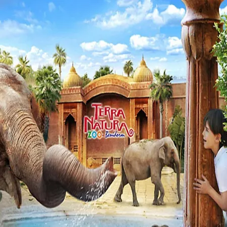 アパート Playa Elisa Bay Mp009 *